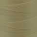 Color #4 - Eggshell